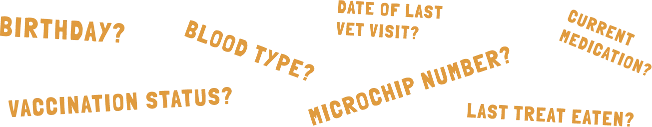 Birthday? Blood type? Vaccination status? Date of last vet visit? Microchip number? Current medication? Last treat eaten?