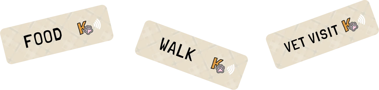 Tap-to-log tags for Food, Walk and Vet visit